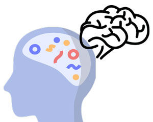 Neuroscience-20241014