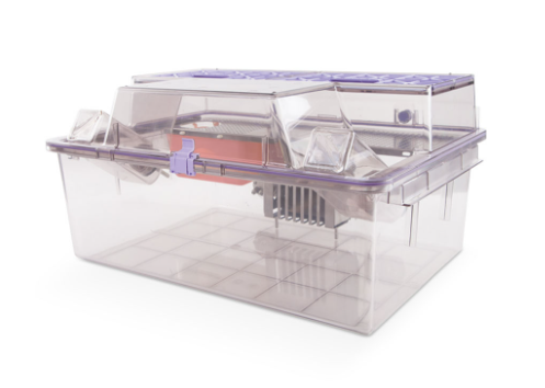 nexgen-rat-1800-Cage System with Rear Shelf and Enrichment Loft