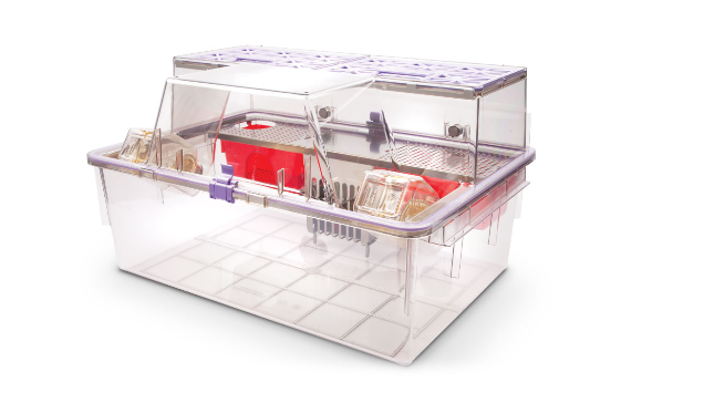 nexgen-rat-1800-tall-Cage System with Rear Shelf and Enrichment Lofts