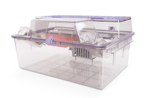 nexgen-rat1800-combo-Cage System with Rear Shelf and Enrichment Loft