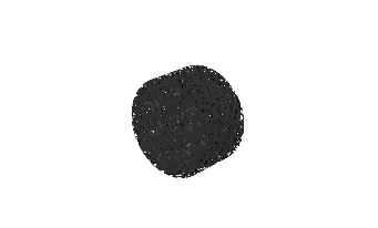spp-rat-Intra-Intra-Cage Extract Filter